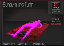 Activities *Sunbathing Turn* Transferable Poseball