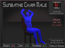 Activities *Sunbathe Chair Male* Animations for Builders