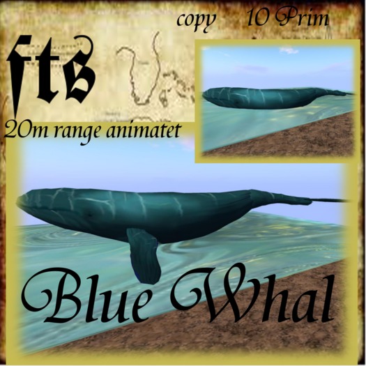 Blue Whal