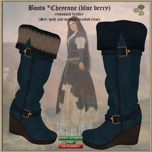 Boots-Set *Cheyenne (blueberry) (QD)