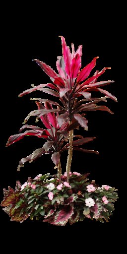 KMR-Plant exotic-005 TEXTURE