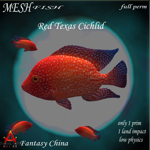 MESH Red Texas Ciclid full perm 