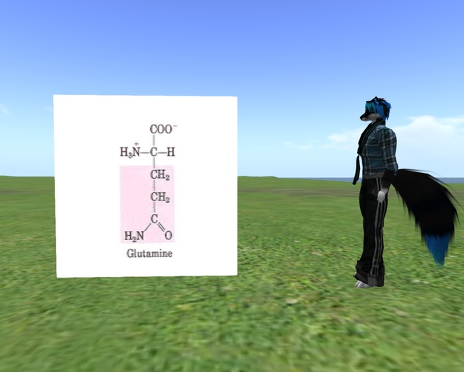 Random amino acids display