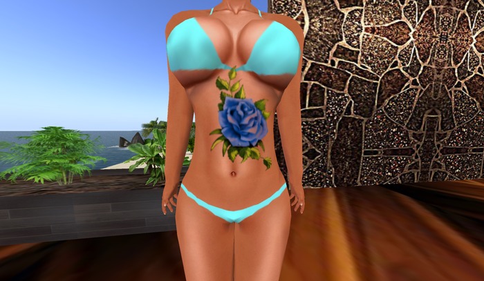 blue rose tattoo boxed