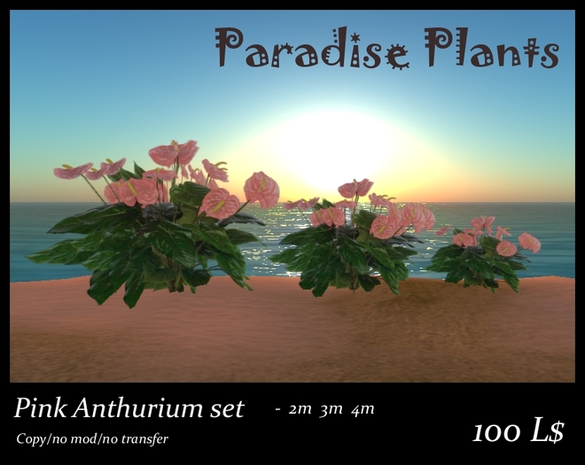 Tropical Anthurium Set Pink