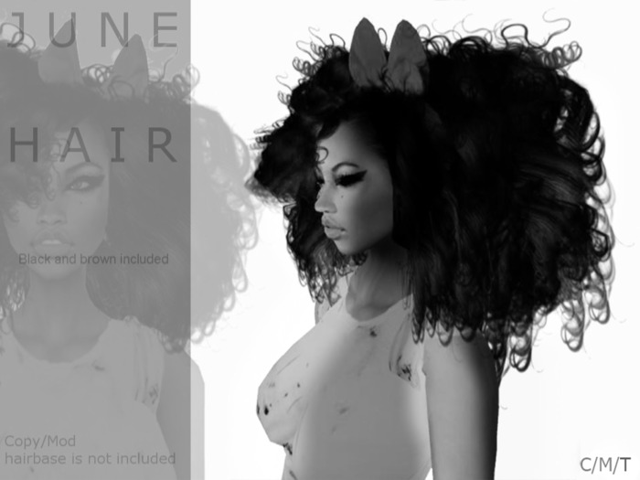DEMO J U N E hair Blackbrownomber - By Naomie Dirval