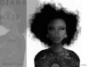 Diana poster hair demo