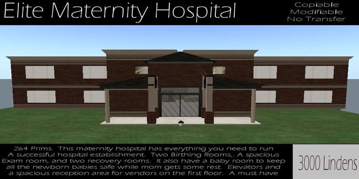Elite Maternity Hospital (Boxed)