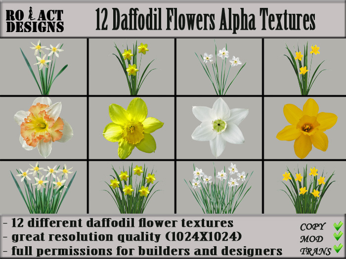 Second Life Marketplace Ro Act Designs 12 Daffodil Flowers Alpha Textures second-life-marketplace-ro-act-designs-12-daffodil-flowers-alpha-textures