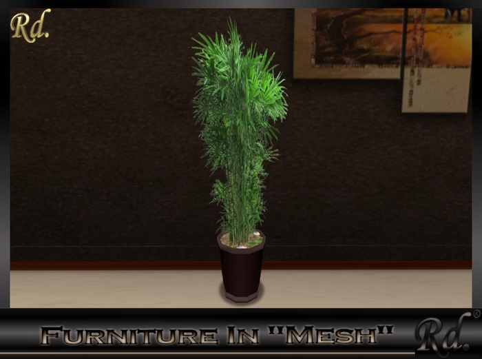 *Plant Home Bamboo