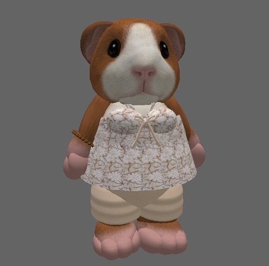 Tiny Beige & Brown Halter Top & Capris