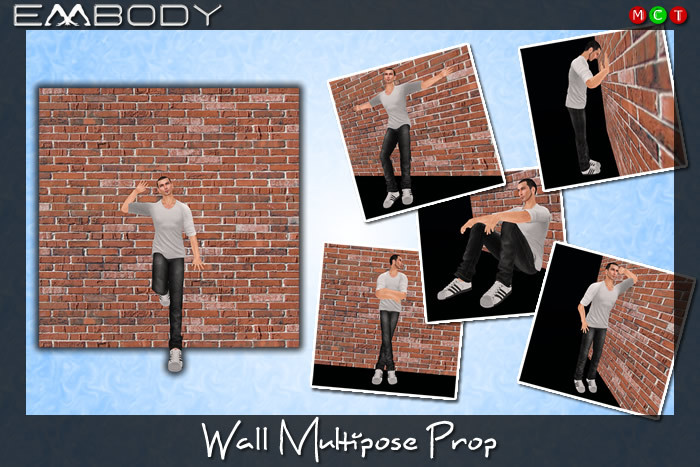 Embody WALL Multipose Prop (male)