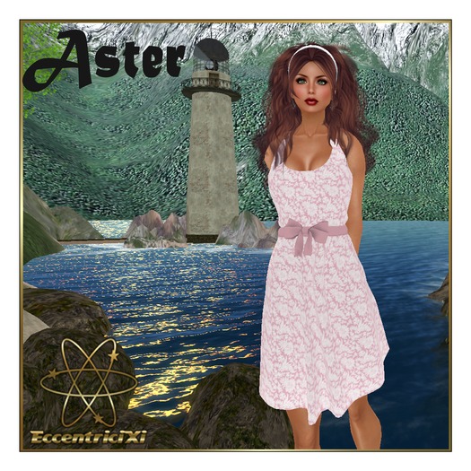 ~EccentriciXi~ Dress Aster Purple and White