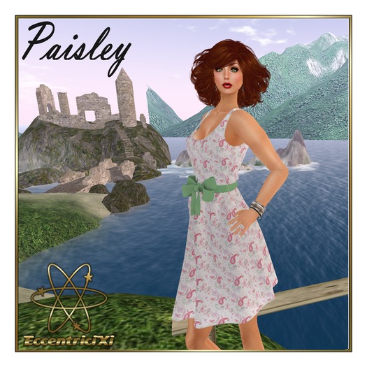 ~EccentriciXi~ Dress Paisley Rose