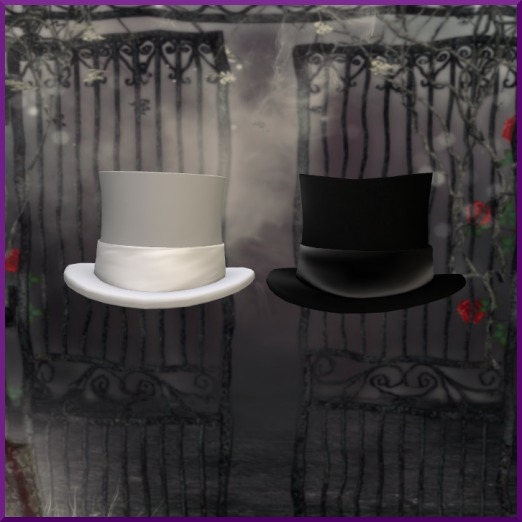 PETITE Black & White Tophats