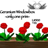 One prim windowbox -  filled with vibrant geraniums