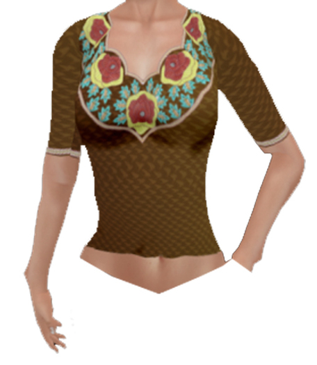 Brown Embroidery Top