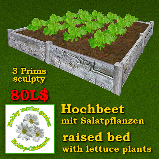 Hochbeet mit Salatpflanzen - aised bed with lettuce plants