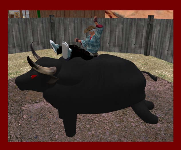 Wingsong Bull Ride ADD Box