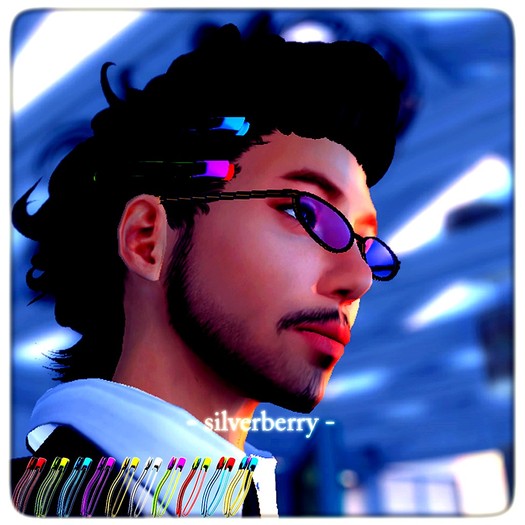 silverberry HairClip(Fat)