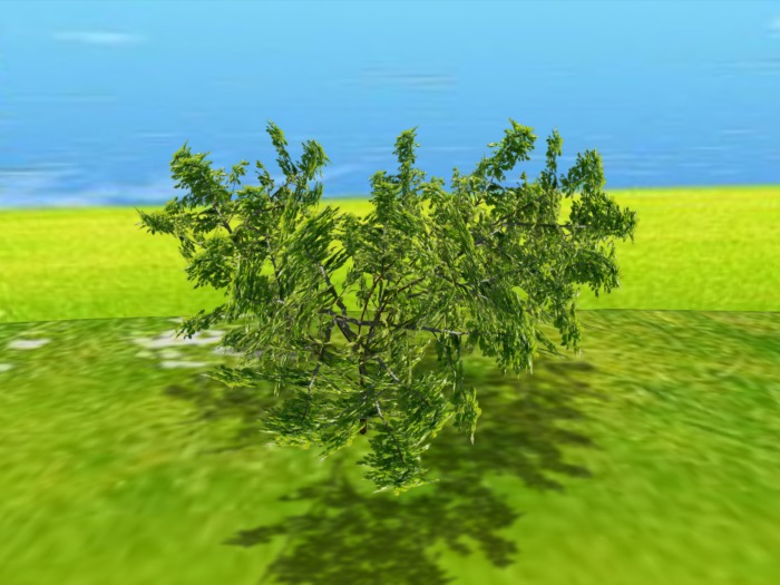 One Prim TRUE Plant - Shrub, True 3D Trunk, True Foliage, Copy&Modify Spring Summer