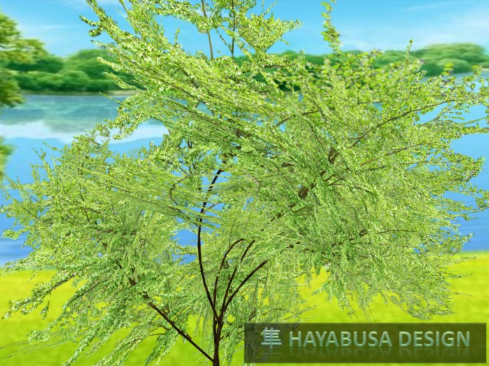 1 Prim TRUE Plant - Shrub, True 3D Trunk, True Foliage, Copy&Modify Spring Summer