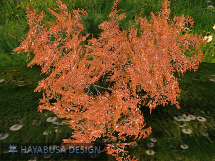 1 Prim TRUE Plant - Shrub, True 3D Trunk, True Foliage, Copy&Modify Spring Summer
