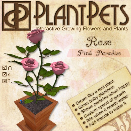 PlantPet Seed [Rose *Pink Paradise*] RARE