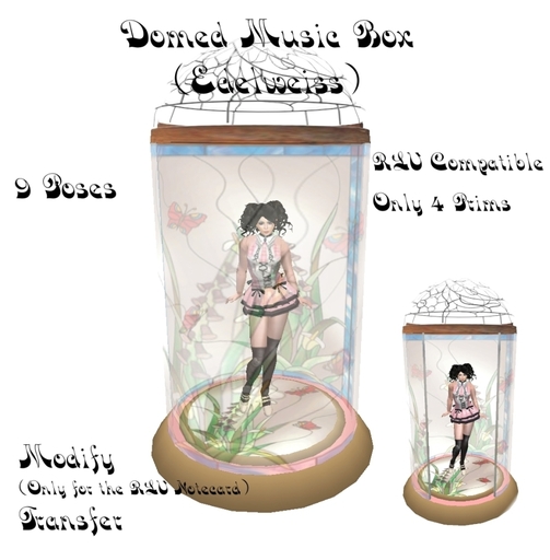 Domed Music Box (Edelweiss)