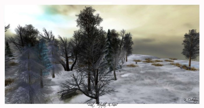 Lost Thoughts In Snow by Ordinary