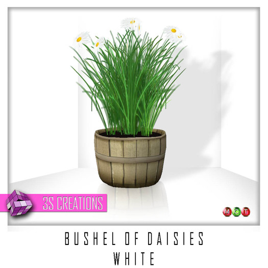 ..::3SC::.. Bushel Of Daisies White