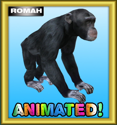 **R** Sculpted Baby Chimp - Animated