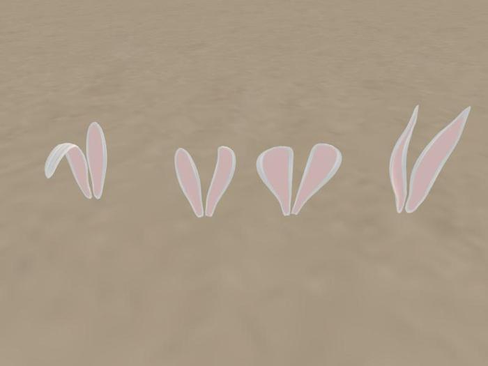 ZZ * bunny ears white