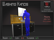 Bathroom *Washing Hands* Transferable Poseball
