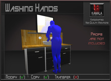 Bathroom *Washing Hands* Copyable Poseball