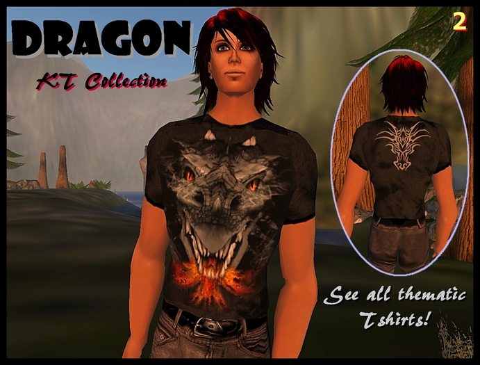DRAGON T-shirt (2) - Trans