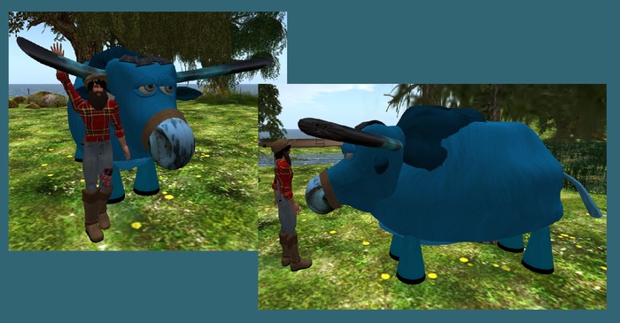 Wingsong Blue Ox Babe Box