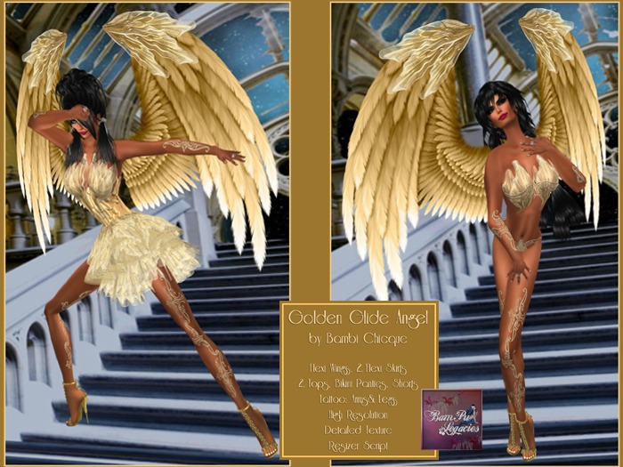 GOLDEN GLIDE FAIRY & Wings Full Outfit