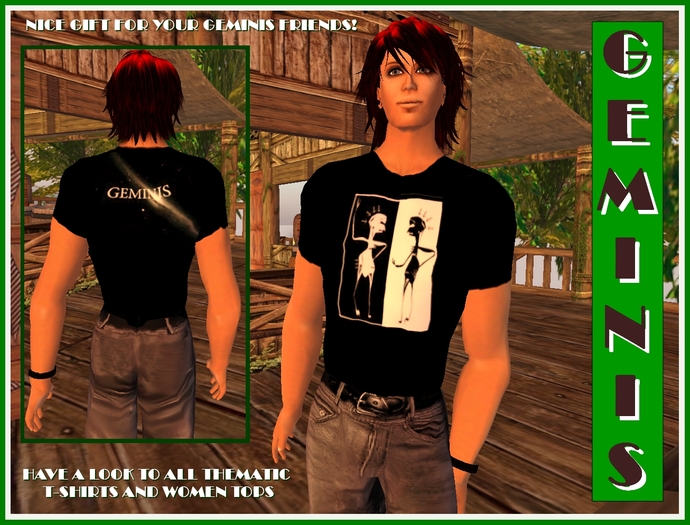 GEMINI - T-shirt  (Zodiac Collection) - Copy