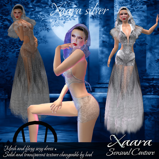 Xaara Silver mesh dress -