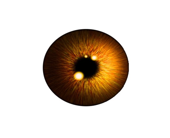 TW-eye-amber