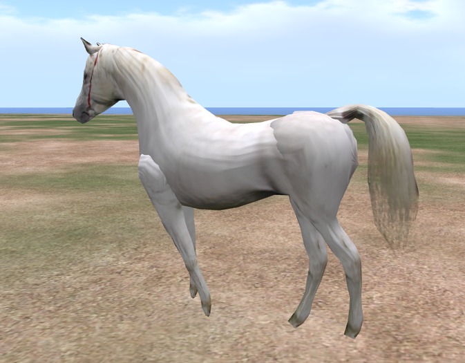 Sculpted Horse