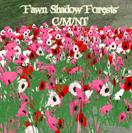 Fawn Shadow Forests Daffodils