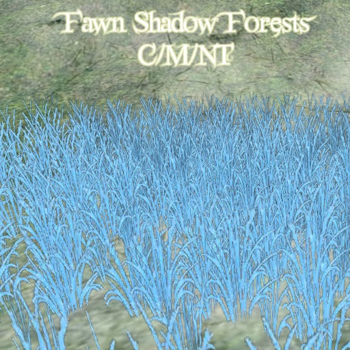 Fawn Shadow Forests Daffodils