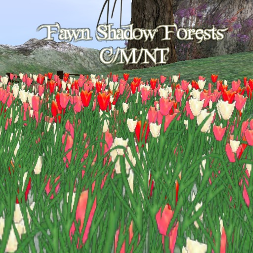 ~FSF~ *PROMO* Mesh/Sculpted Tulips Young Love Mix 