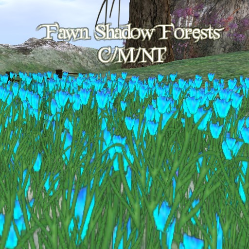 Fawn Shadow Forests Daffodils