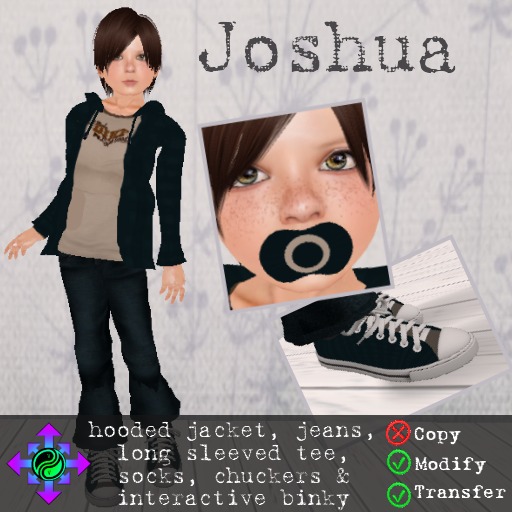Vicarious Vitae - Joshua -