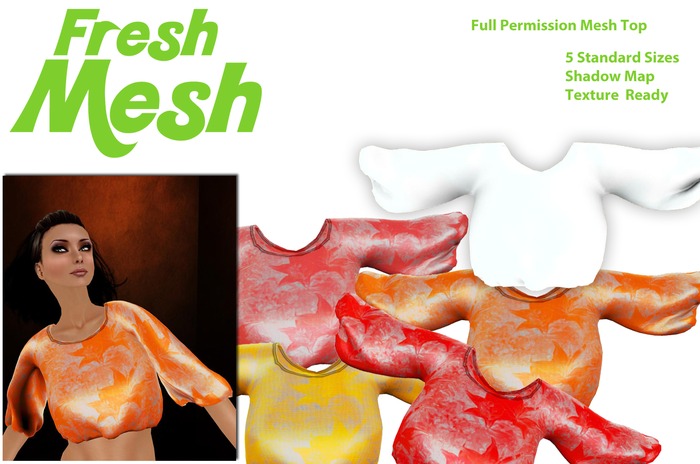 Fresh Mesh-Full Permission Elastic Top