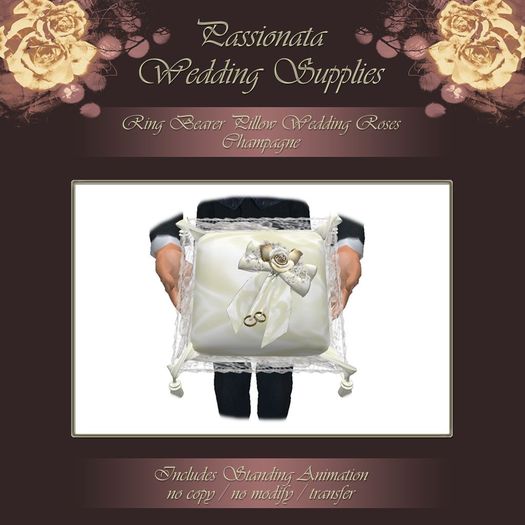 Ring Bearer Pillow - Champagne