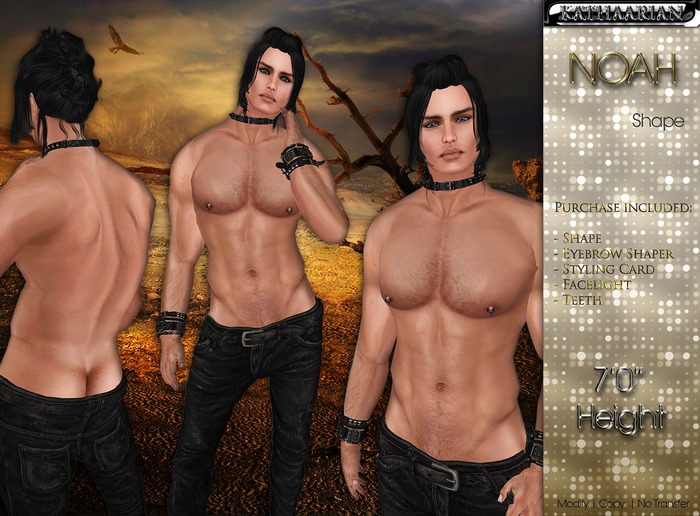 [KATHAARIAN] - Noah Shape & Styling Card HQ